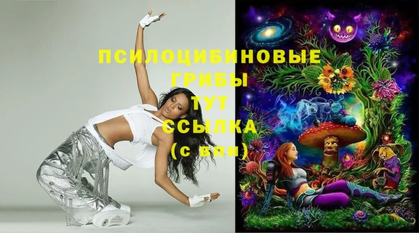 синтетический гашиш Алексеевка
