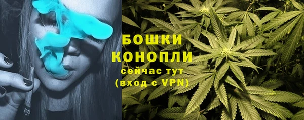 круглые Абаза